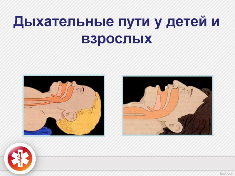 Дыхательные пути у детей и взрослых